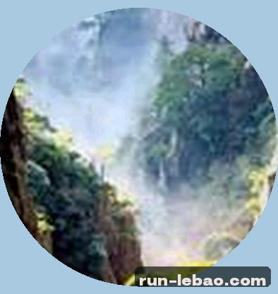 赵小玲